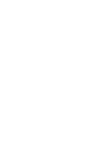 Silverstripe Professional Partner